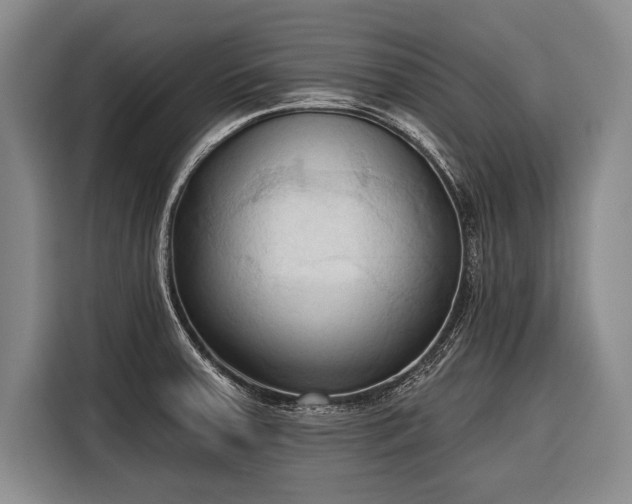 X0000116321379200912091010