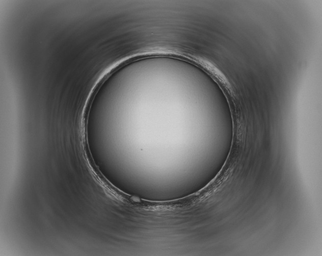 X0000116321380200912091010