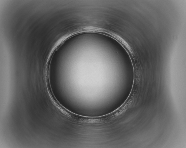 X0000116321381200912091010