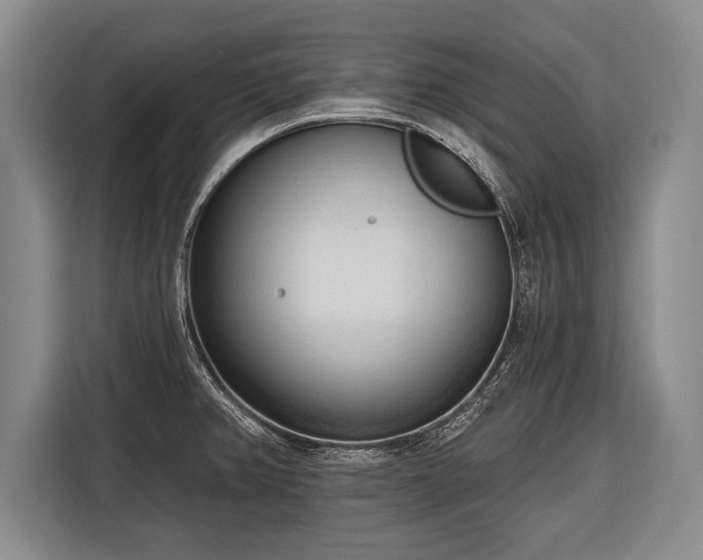 X0000116321382200912091010