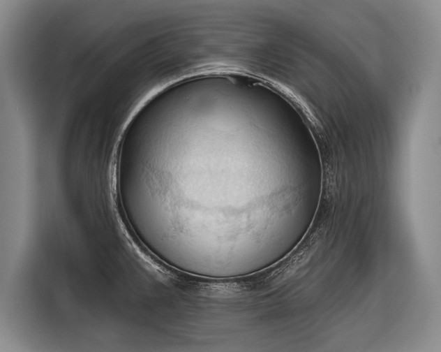 X0000116321383200912091010