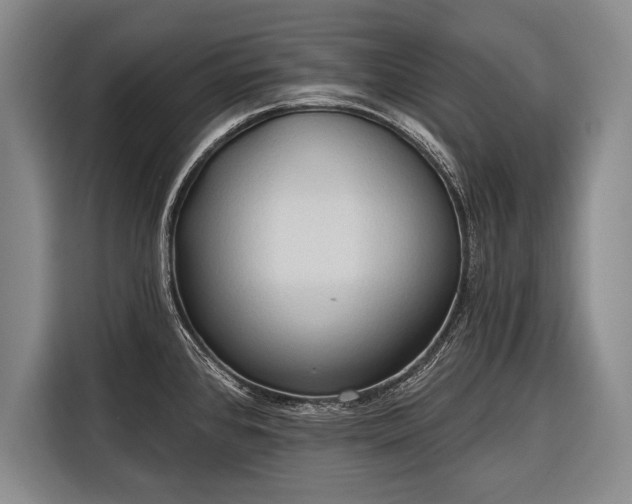 X0000116321384200912091010