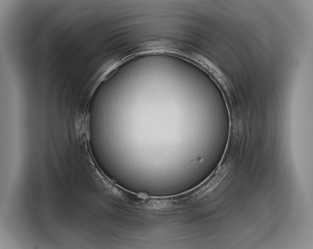 X0000116321385200912091010