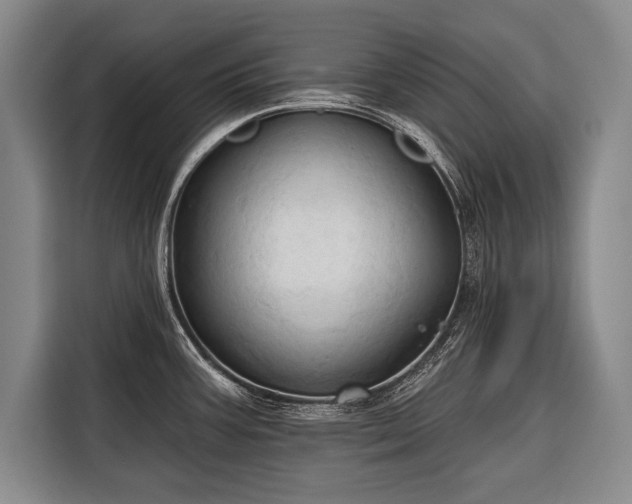 X0000116321387200912091010