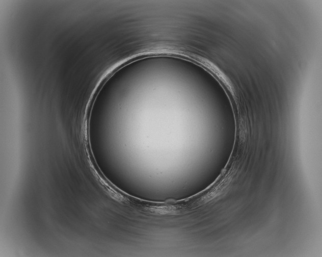 X0000116321388200912091010