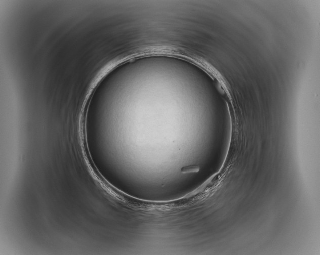 X0000116321389200912091010