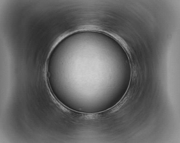 X0000116321390200912091010