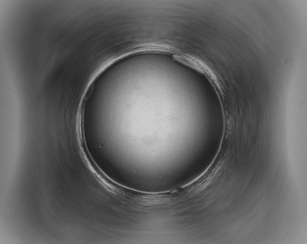 X0000116321391200912091010