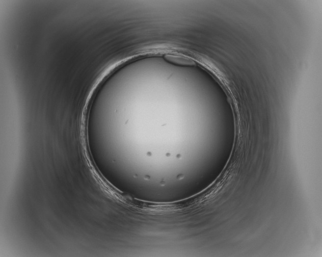 X0000116321392200912091010