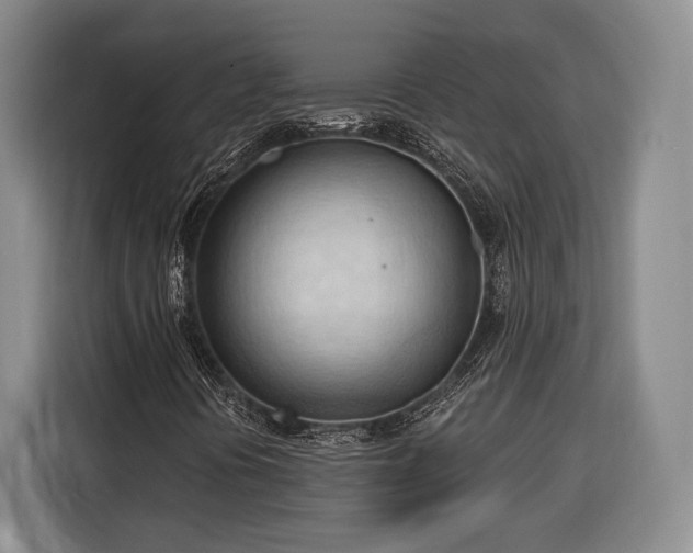 X0000116321394200912091010