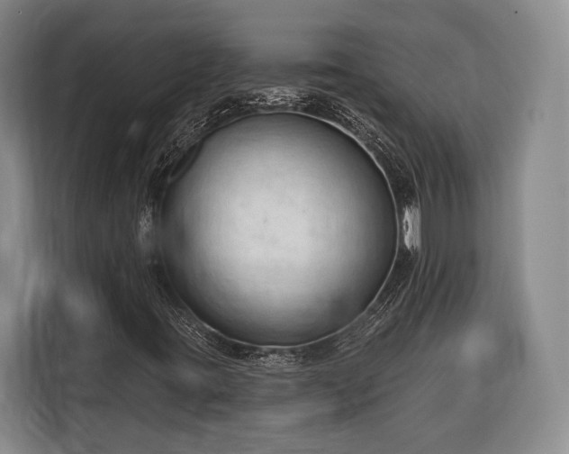 X0000116321395200912091010