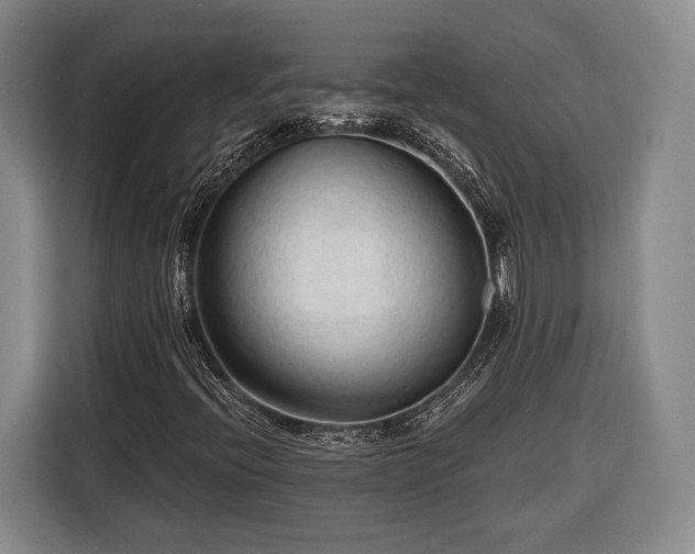 X0000116321396200912091010