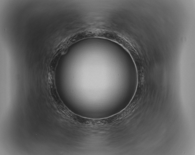 X0000116321397200912091010