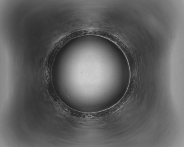 X0000116321398200912091010