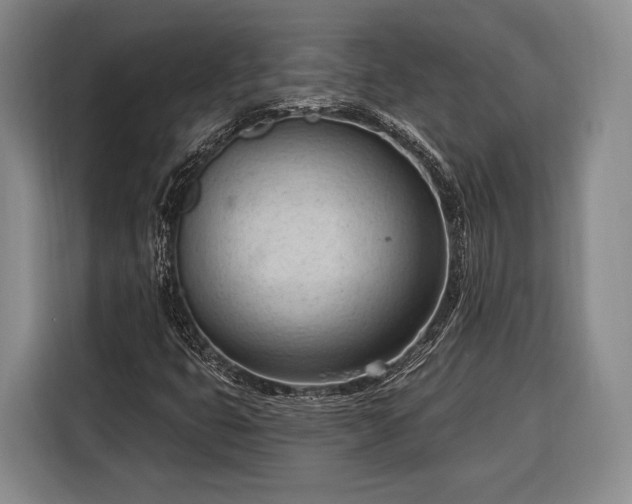 X0000116321399200912091010