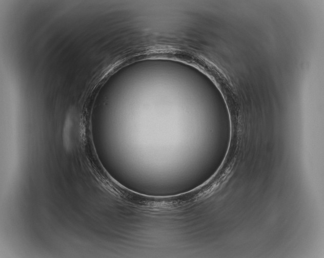 X0000116321401200912091010