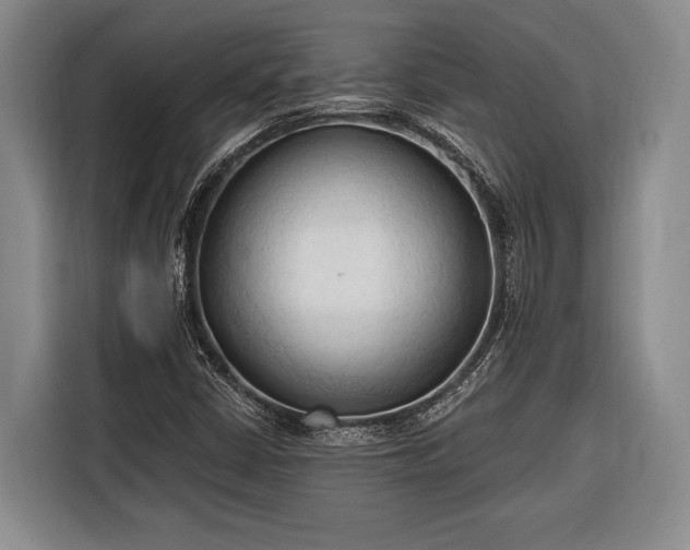 X0000116321402200912091010