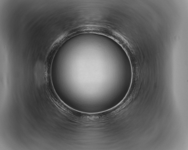 X0000116321403200912091010