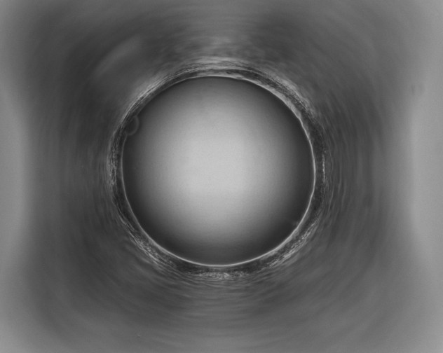 X0000116321405200912091010