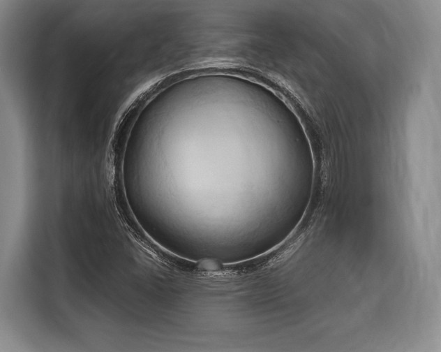 X0000116321406200912091010