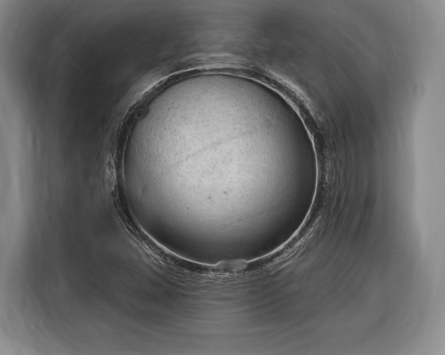 X0000116321407200912091010