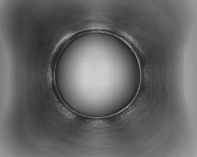 X0000116321408200912091010