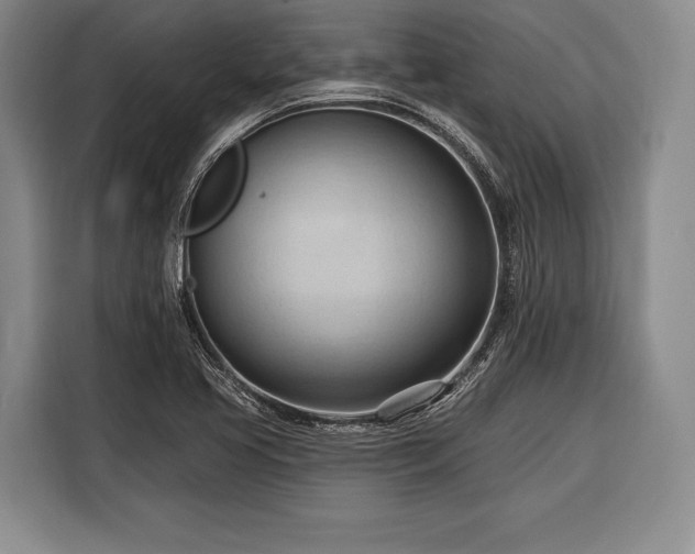 X0000116321413200912091010