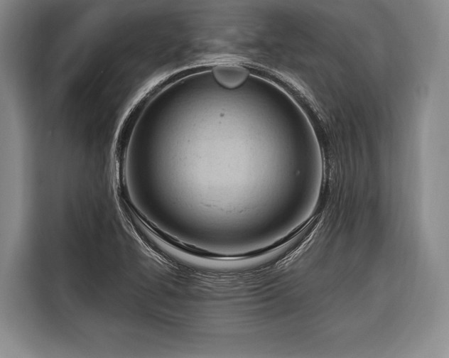 X0000116321414200912091010