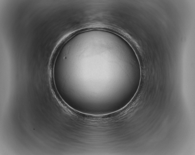 X0000116321416200912091010