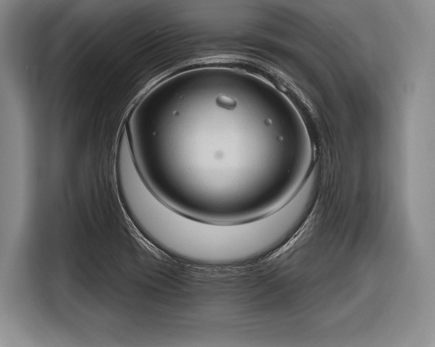 X0000116321417200912091010