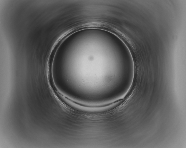 X0000116321418200912091010