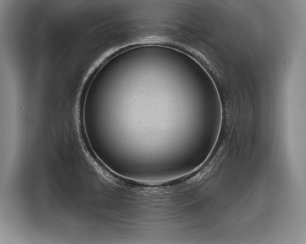 X0000116321422200912091010