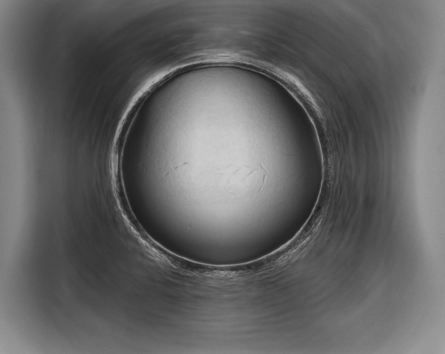 X0000116321424200912091010