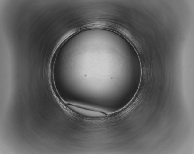 X0000116321426200912091010