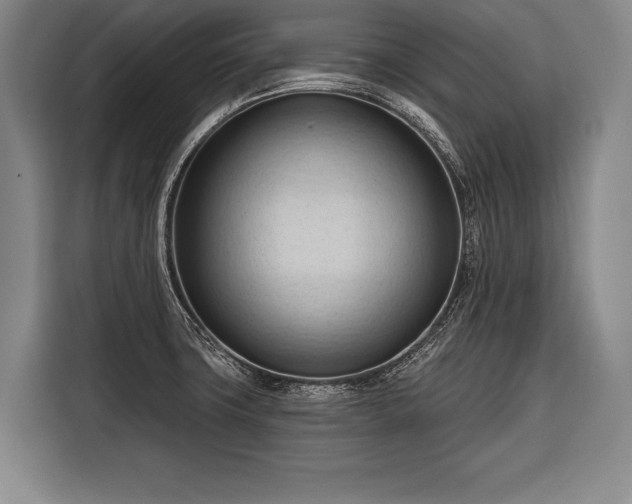 X0000116321427200912091010