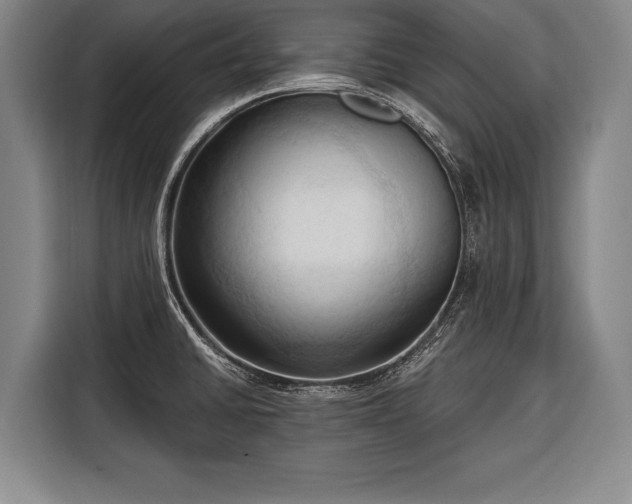 X0000116321430200912091010