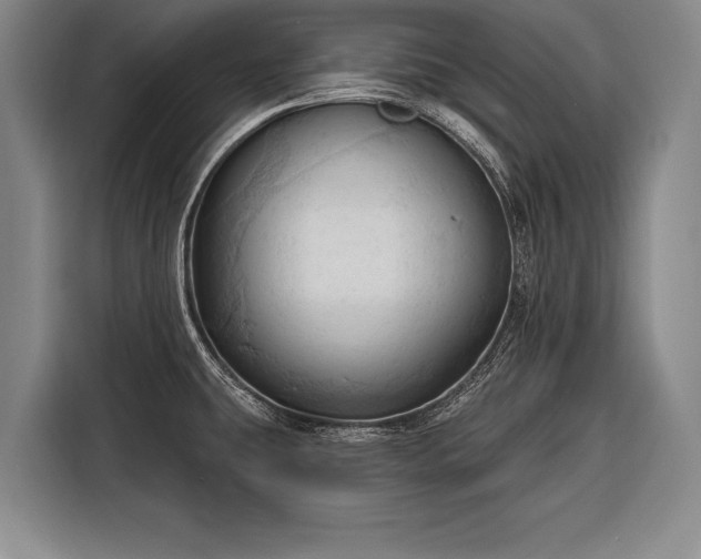 X0000116321431200912091010