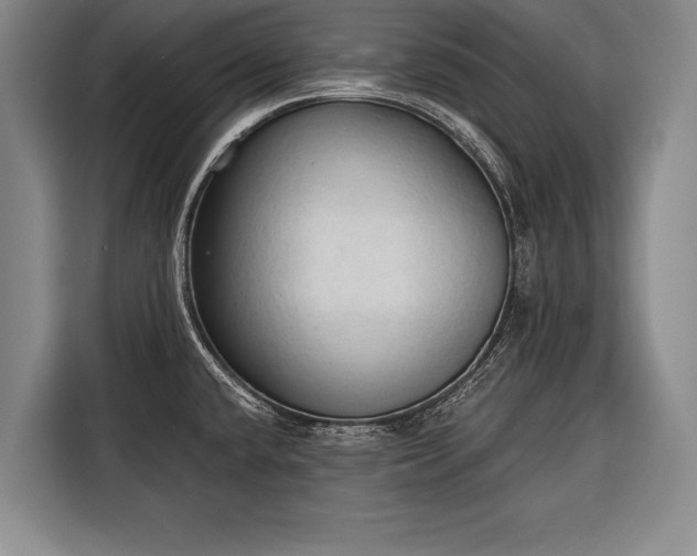 X0000116321432200912091010