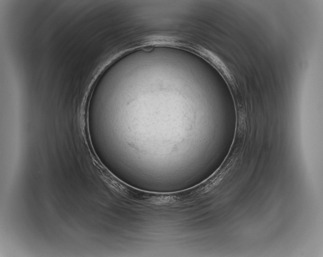 X0000116321435200912091010