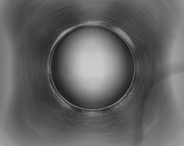 X0000116321436200912091010