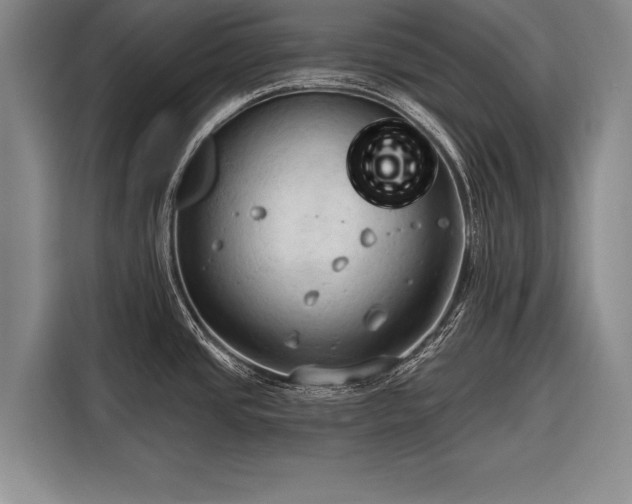 X0000116321437200912091010