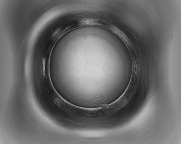 X0000116321439200912091010