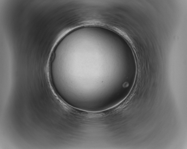 X0000116321440200912091010