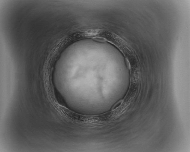 X0000116321441200912091010