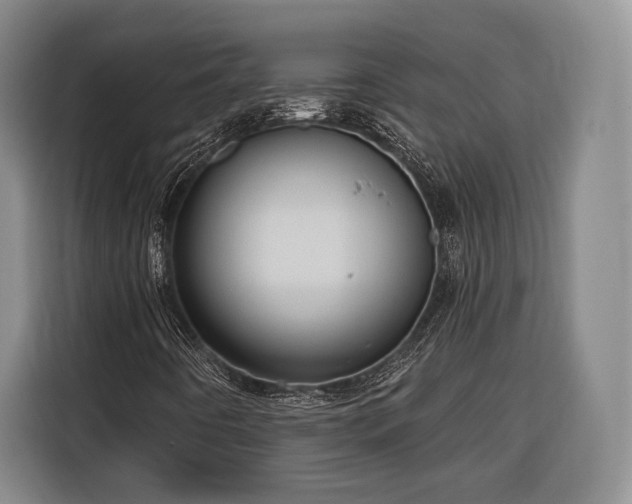 X0000116321442200912091010