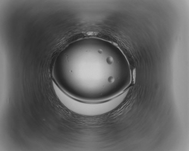 X0000116321443200912091010