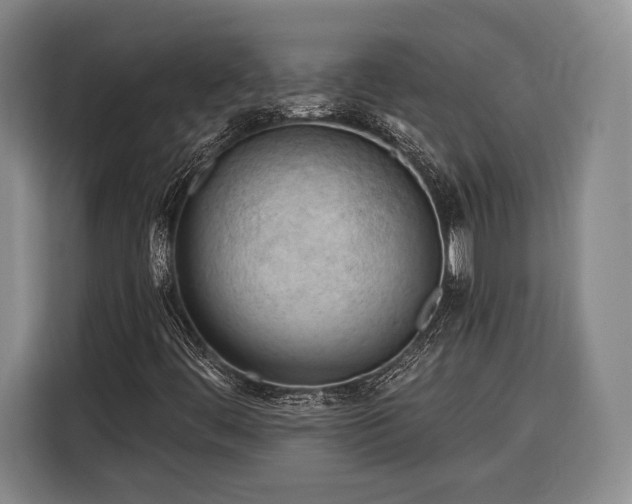 X0000116321444200912091010