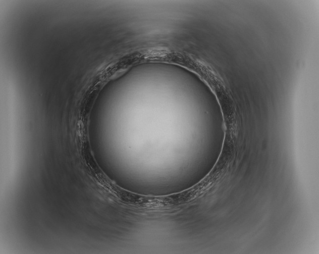 X0000116321445200912091010