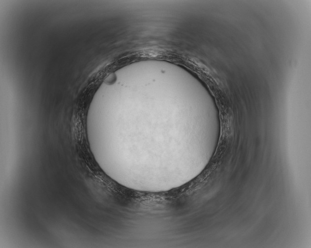 X0000116321446200912091010