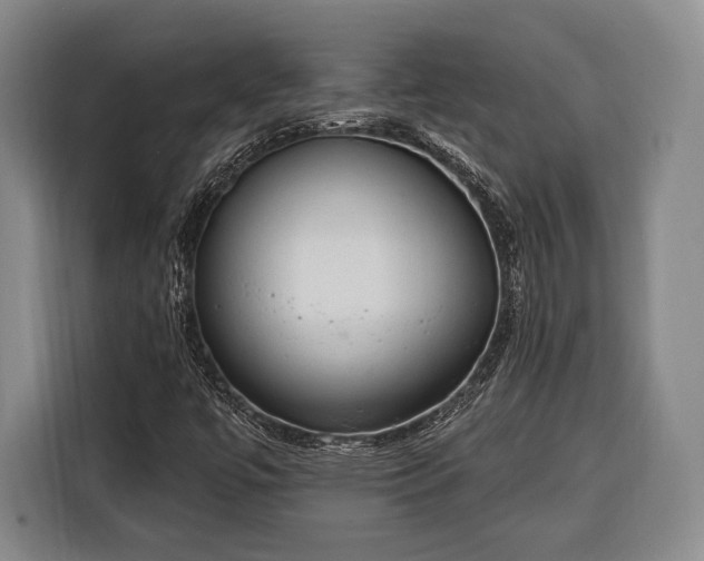 X0000116321447200912091010